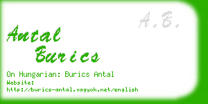 antal burics business card